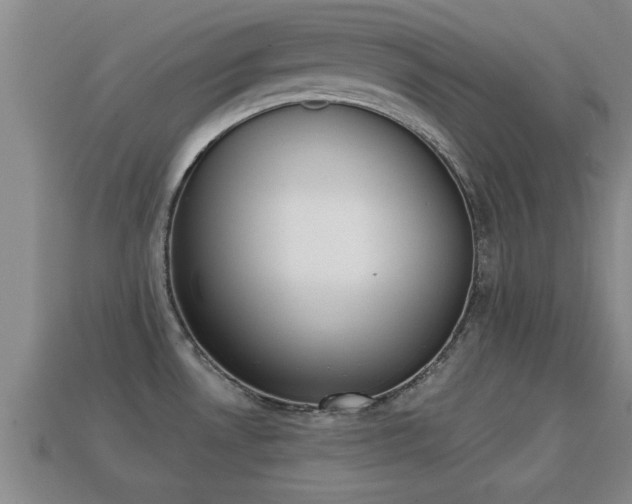 X0000113201530200909171503