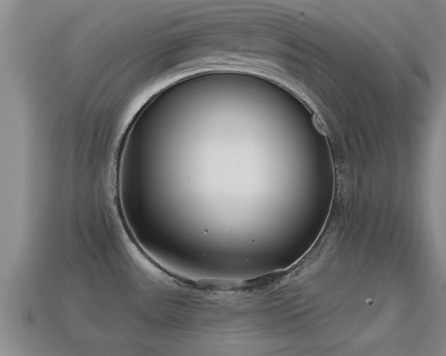 X0000113201531200909171503