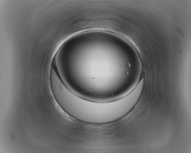 X0000113201532200909171503