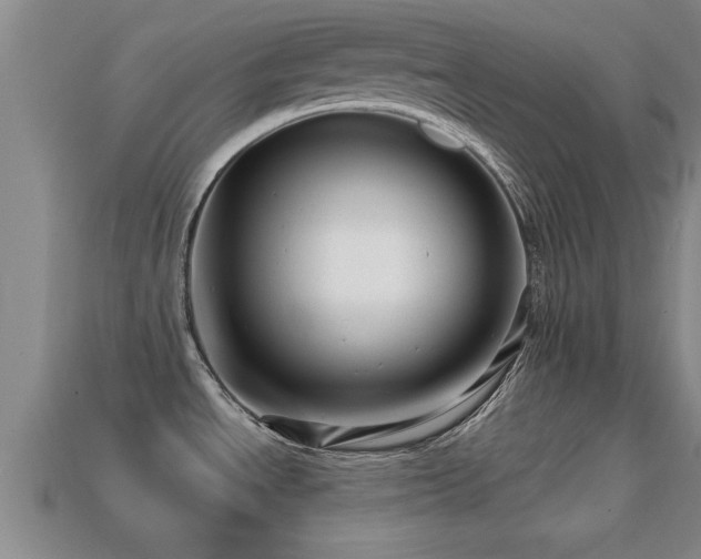 X0000113201534200909171503