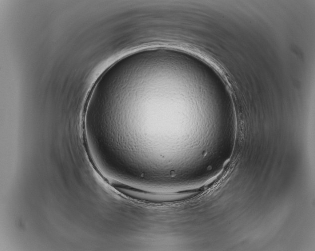 X0000113201535200909171503