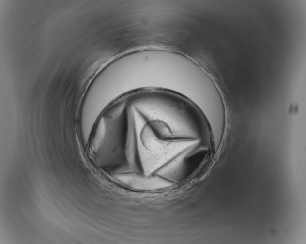 X0000113200001200909241410