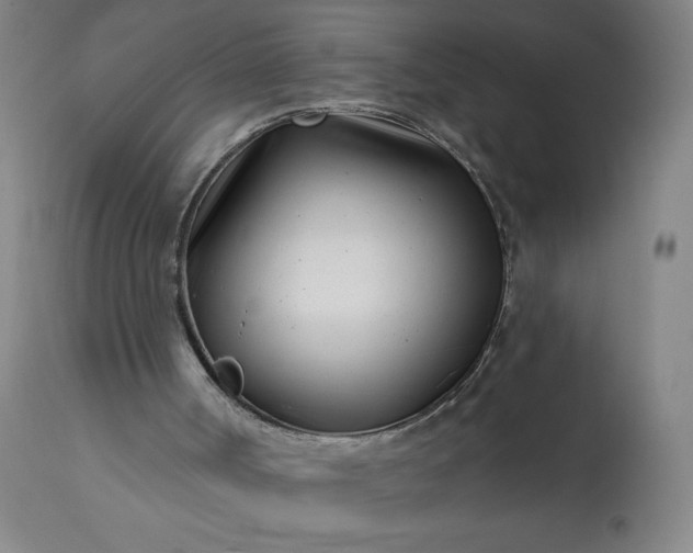 X0000113200002200909241410