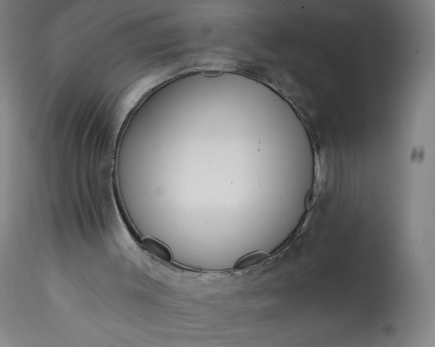 X0000113200003200909241410