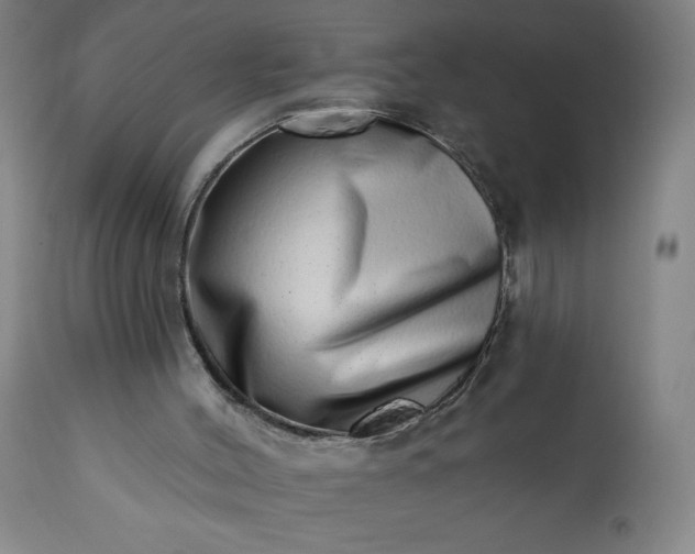 X0000113200004200909241410