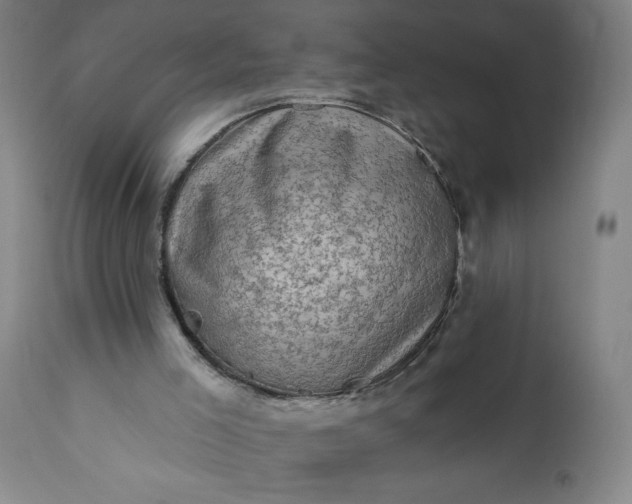 X0000113200005200909241410