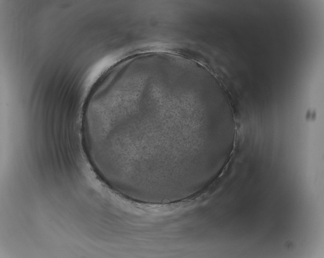 X0000113200006200909241410