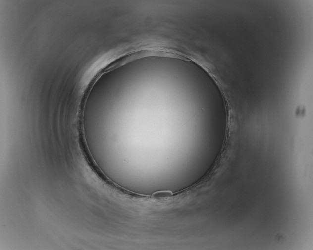 X0000113200007200909241410