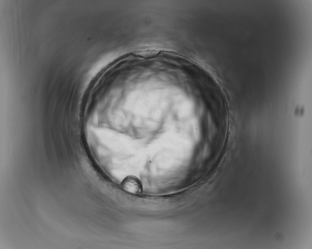 X0000113200008200909241410