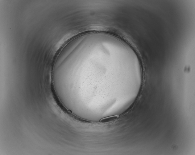 X0000113200011200909241410