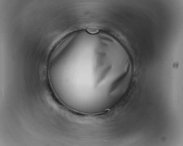 X0000113200012200909241410