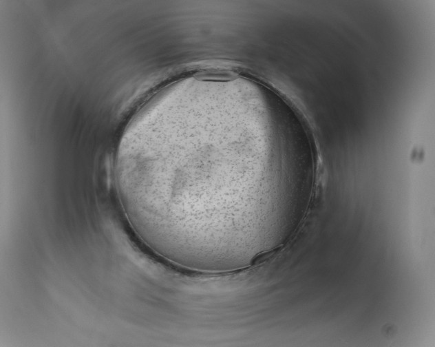 X0000113200013200909241410