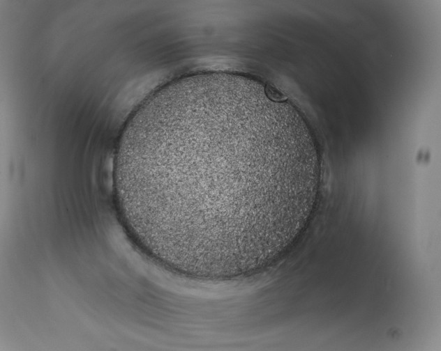 X0000113200014200909241410