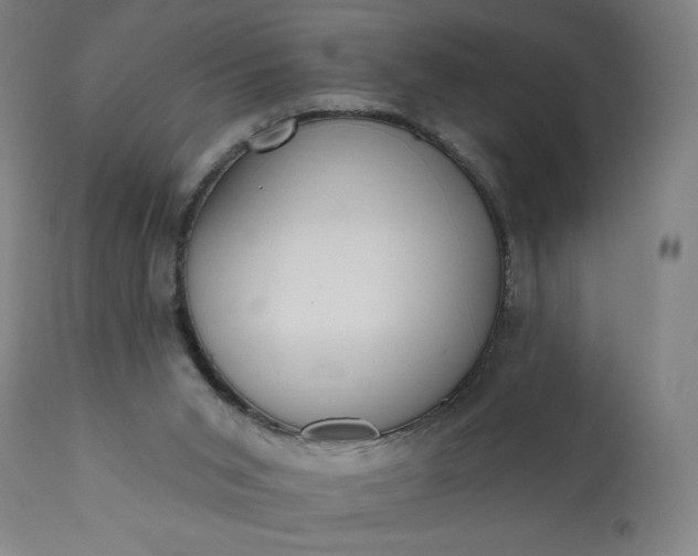 X0000113200015200909241410