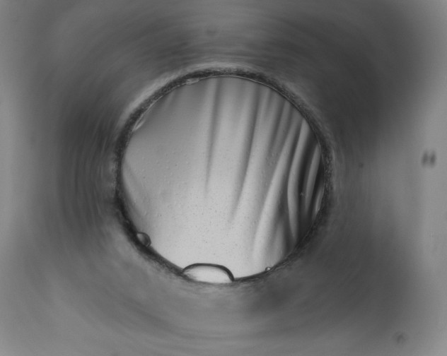 X0000113200016200909241410