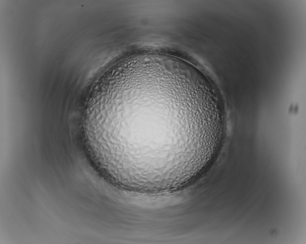 X0000113200018200909241410