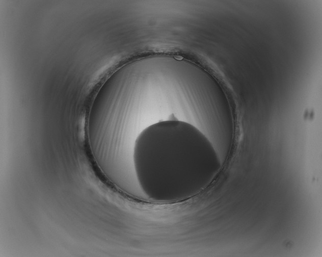 X0000113200019200909241410