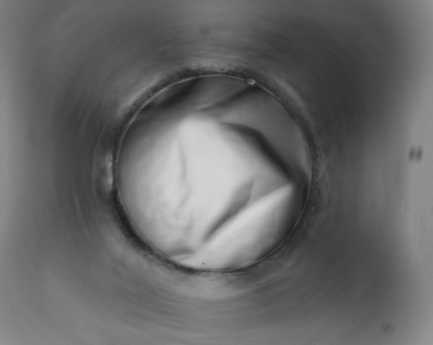 X0000113200020200909241410