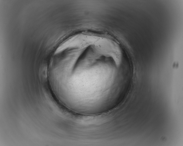 X0000113200021200909241410