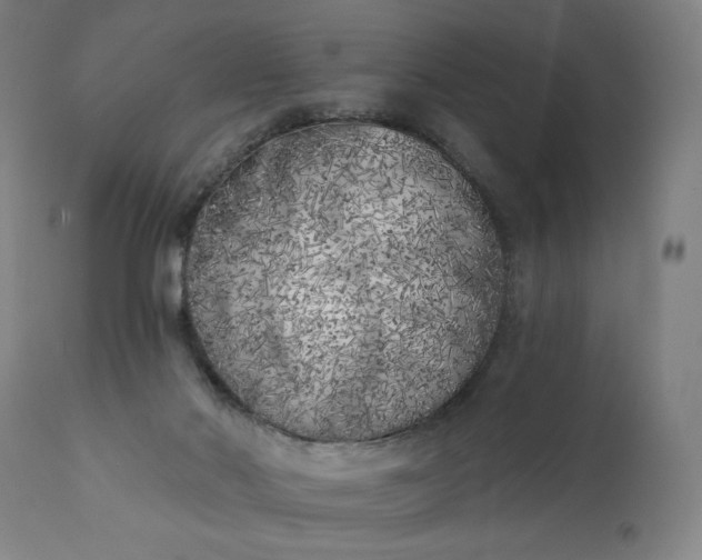 X0000113200022200909241410