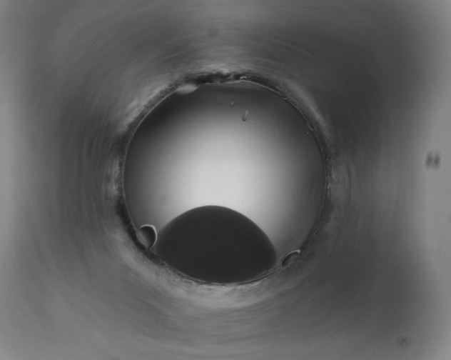 X0000113200023200909241410