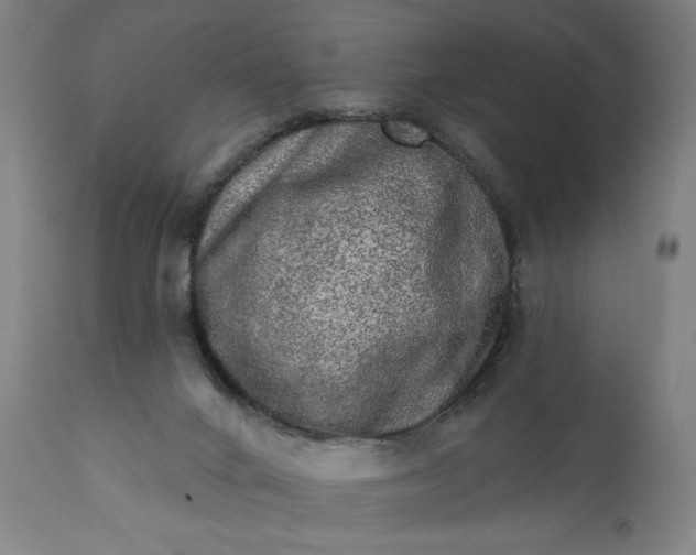 X0000113200024200909241410