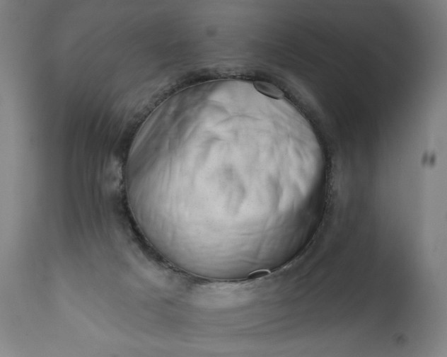 X0000113200025200909241410