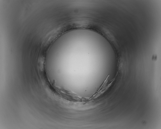 X0000113200026200909241410