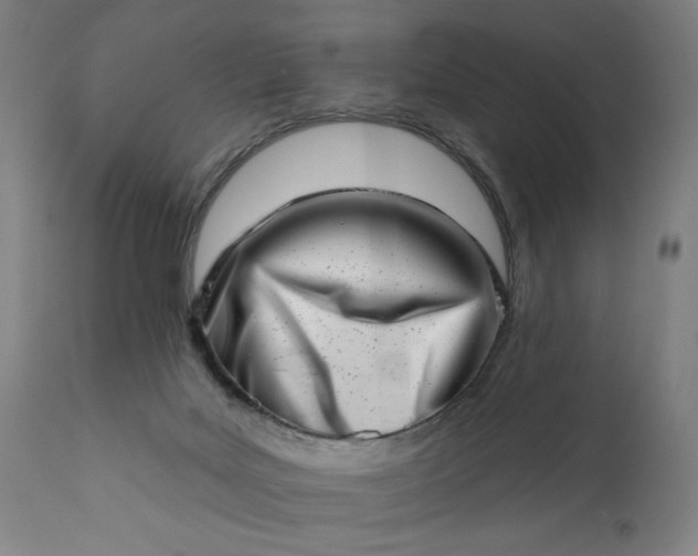 X0000113200027200909241410