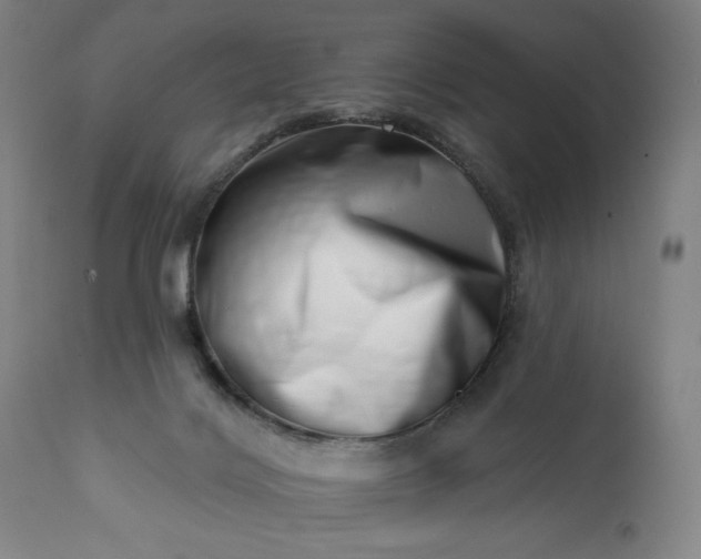 X0000113200028200909241410