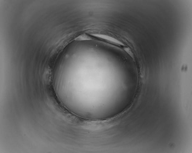 X0000113200029200909241410