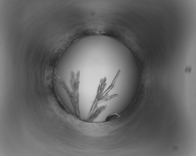 X0000113200030200909241410