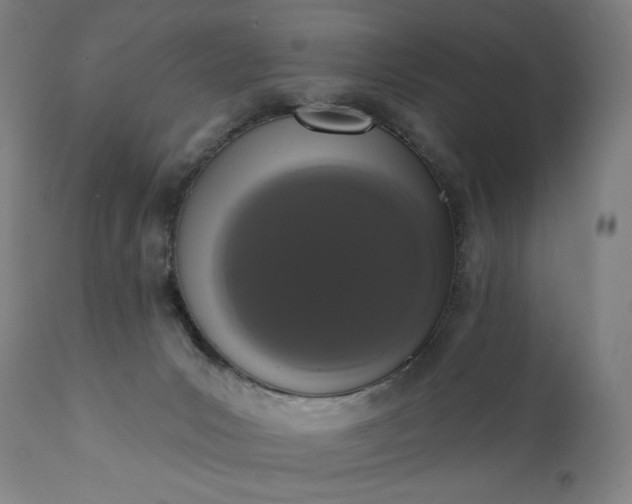 X0000113200031200909241410