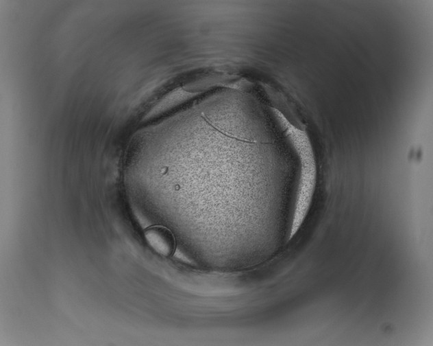 X0000113200032200909241410