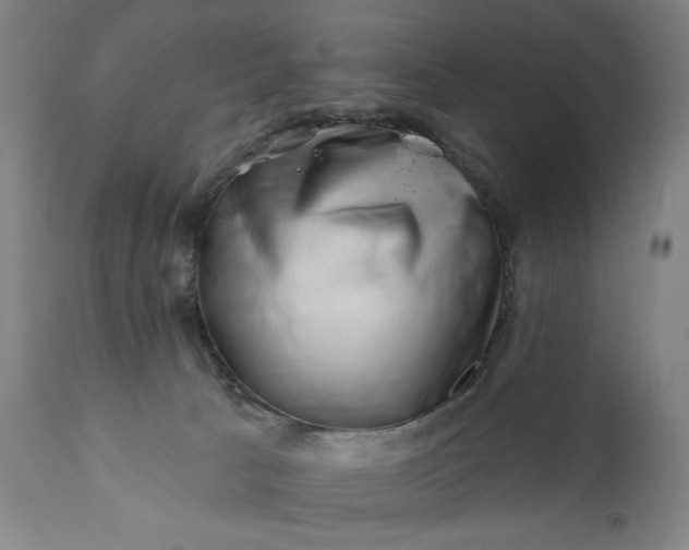 X0000113200033200909241410