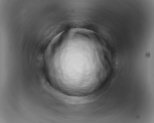 X0000113200034200909241410