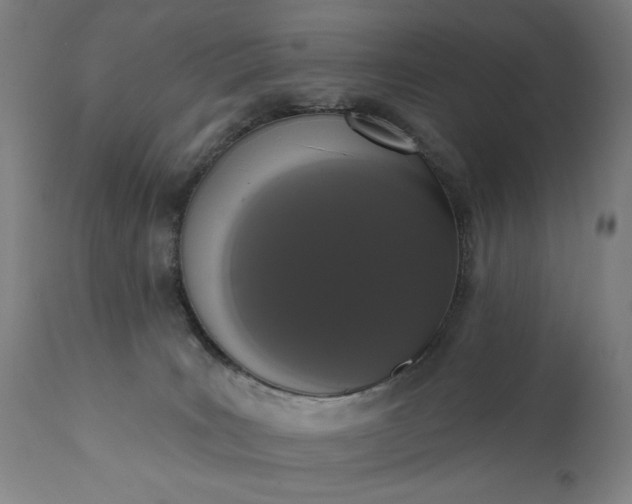 X0000113200035200909241410