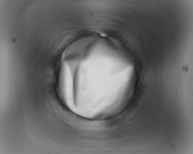 X0000113200036200909241410