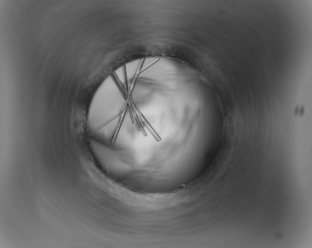 X0000113200038200909241410