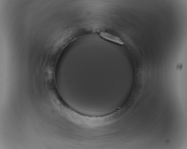 X0000113200039200909241410