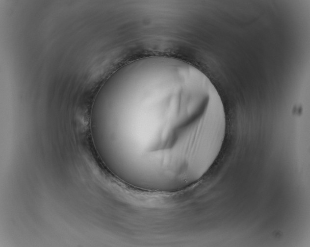 X0000113200040200909241410