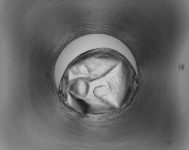 X0000113200041200909241410