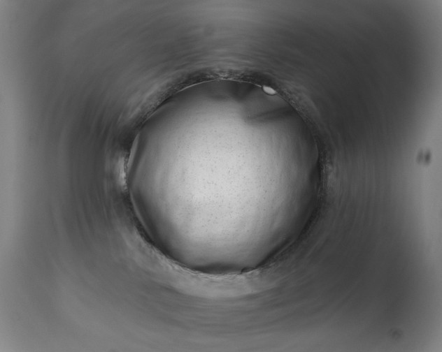 X0000113200042200909241409