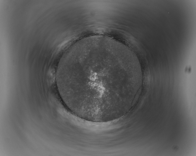 X0000113200043200909241409