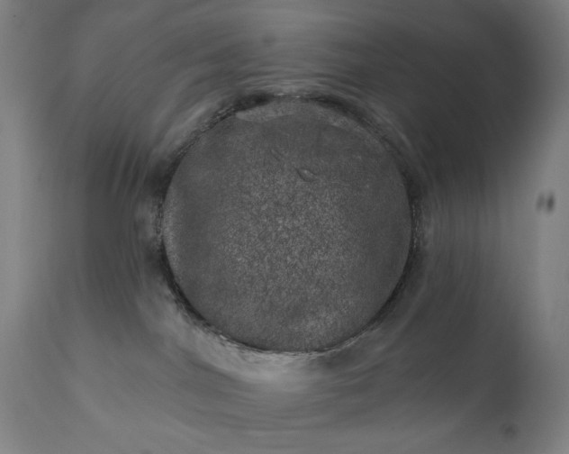 X0000113200044200909241409