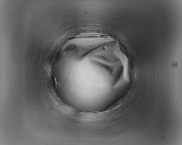 X0000113200045200909241409