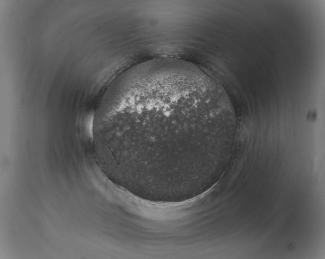 X0000113200047200909241409