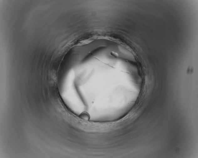 X0000113200048200909241409