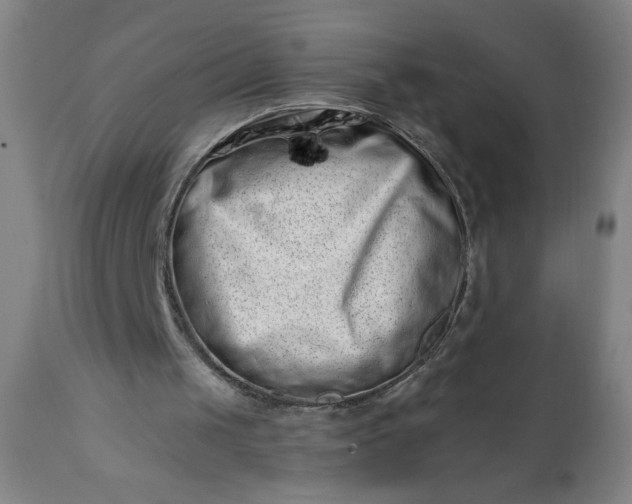 X0000113200049200909241409