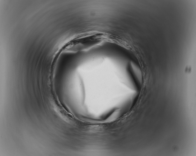 X0000113200050200909241409